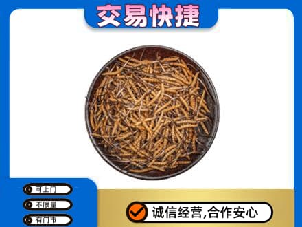 贵阳市白云高价回收散虫草