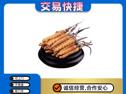 贵阳市白云礼品回收散虫草.jpg